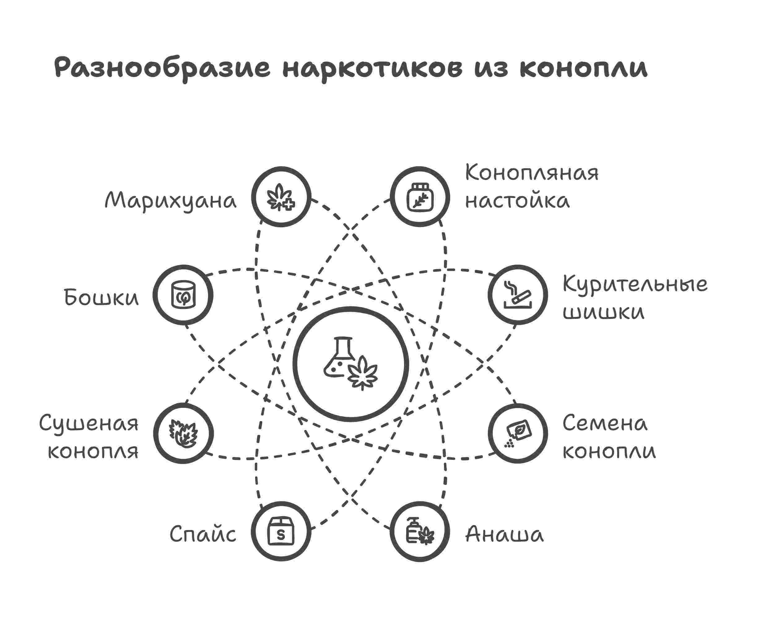 Инфографика виды конопли